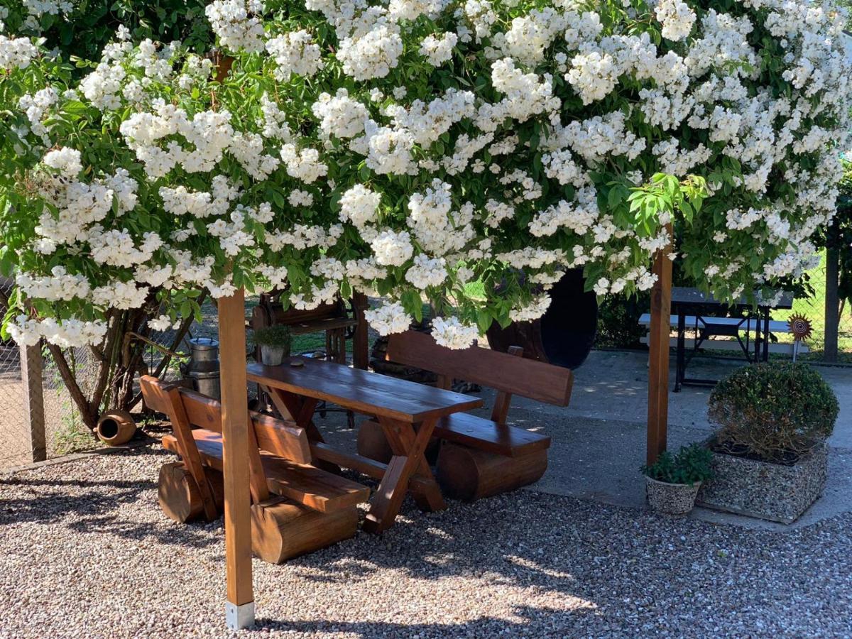 Appartamento Kiek Mol In Grömitz Esterno foto
