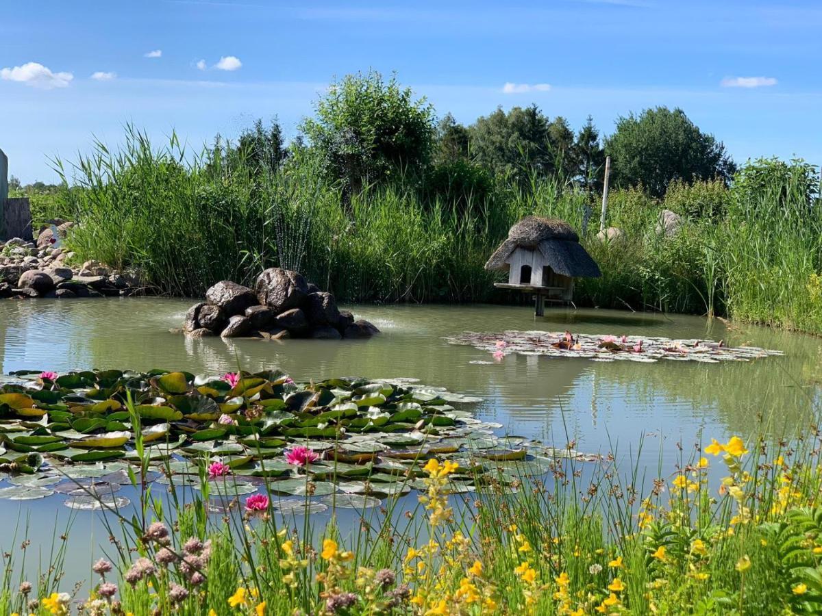 Appartamento Kiek Mol In Grömitz Esterno foto